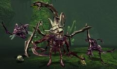 Asheron's Call 2: Legions screenshot 6