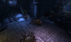 Dragon Age: Origins screenshot 6