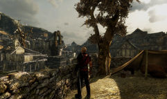 The Dark Eye: Demonicon screenshot 8