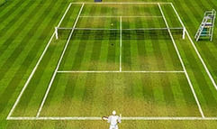 Game, Net & Match! screenshot 5