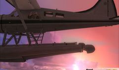 Flight Simulator X screenshot 30