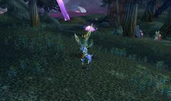 World of Warcraft: the Burning Crusade screenshot 8
