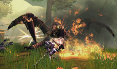 RaiderZ screenshot 6