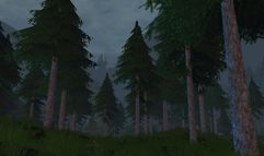 Age of Mourning screenshot 53