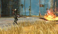 Maelstrom screenshot 3