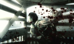 Operation Flashpoint 2: Dragon Rising screenshot 4
