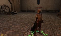Vanguard: Saga of Heroes screenshot 12
