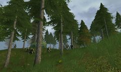Age of Mourning screenshot 22