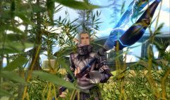 Rising Force Online screenshot 3