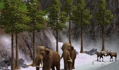 Wildlife Park 2 screenshot 2