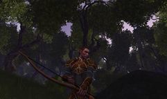 Vanguard: Saga of Heroes screenshot 10
