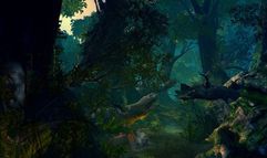 Age of Conan: Hyborian Adventures screenshot 2