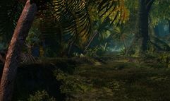 Age of Conan: Hyborian Adventures screenshot 5