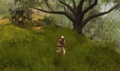 Neverwinter Nights 2 screenshot 3