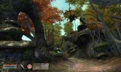 The Elder Scrolls IV: Shivering Isles screenshot 1