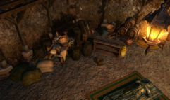 Neverwinter Nights 2 screenshot 2