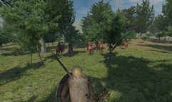 Mount & Blade screenshot 6