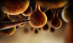 Botanicula screenshot 1