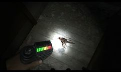 Condemned: Criminal Origins screenshot 2