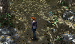 The Legend Of Crystal Valley screenshot 2