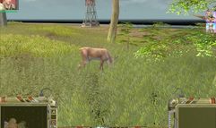 Maelstrom screenshot 2