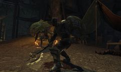 Divine Divinity II: Ego Draconis screenshot 2