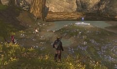 Tabula Rasa screenshot 7