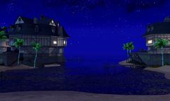 Pirates of the Burning Sea screenshot 11