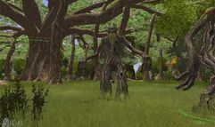 Vanguard: Saga of Heroes screenshot 21