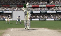 Cricket 07 screenshot 13
