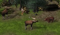 Wildlife Park 2 screenshot 8