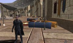 Vanguard: Saga of Heroes screenshot 11