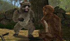 Return to Mysterious Island 2 screenshot 8