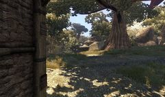 Divinity 2: Ego Draconis screenshot 6