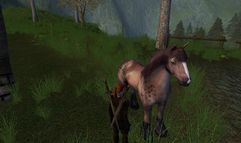 Age of Mourning screenshot 46