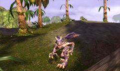 Guild Wars Factions screenshot 82