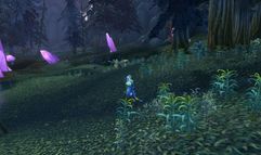 World of Warcraft: the Burning Crusade screenshot 12