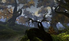 Age of Conan: Hyborian Adventures screenshot 7
