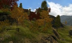 The Guild 2 screenshot 3