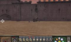Medieval 2: Total War screenshot 17