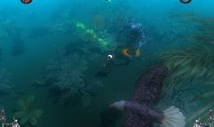 Dawn of Magic screenshot 12