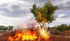 Far Cry 2 screenshot 3
