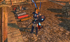 Sacred 2: Fallen Angel screenshot 6