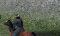 Mount & Blade screenshot 1