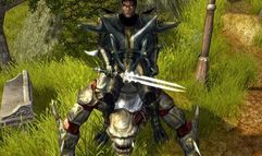 Sacred 2: Fallen Angel screenshot 4