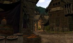 Age of Conan: Hyborian Adventures screenshot 5