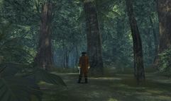 Pirates of the Burning Sea screenshot 3