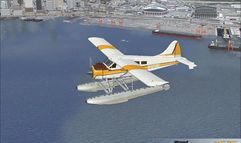 Flight Simulator X screenshot 2