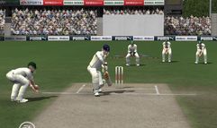 Cricket 07 screenshot 8