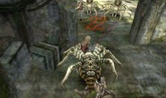 Sword of the New World screenshot 14
